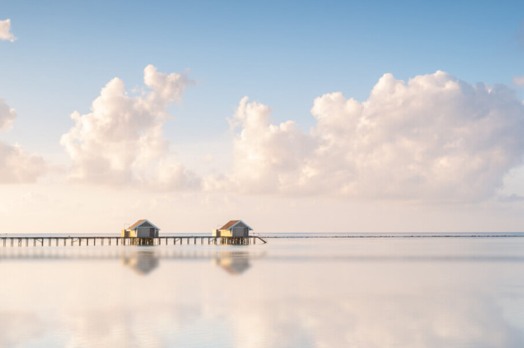 Pelmeni Siberiani: Tradizione, Ripieni e Consigli per la Cottura Ideale